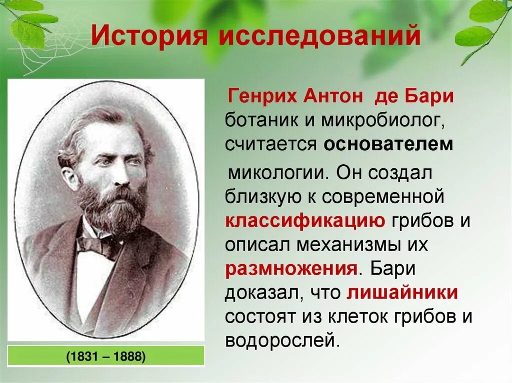 Де барри. История изучения грибов. Микология ученые. Основатель микологии.