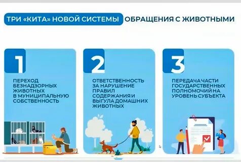 Правила 2019