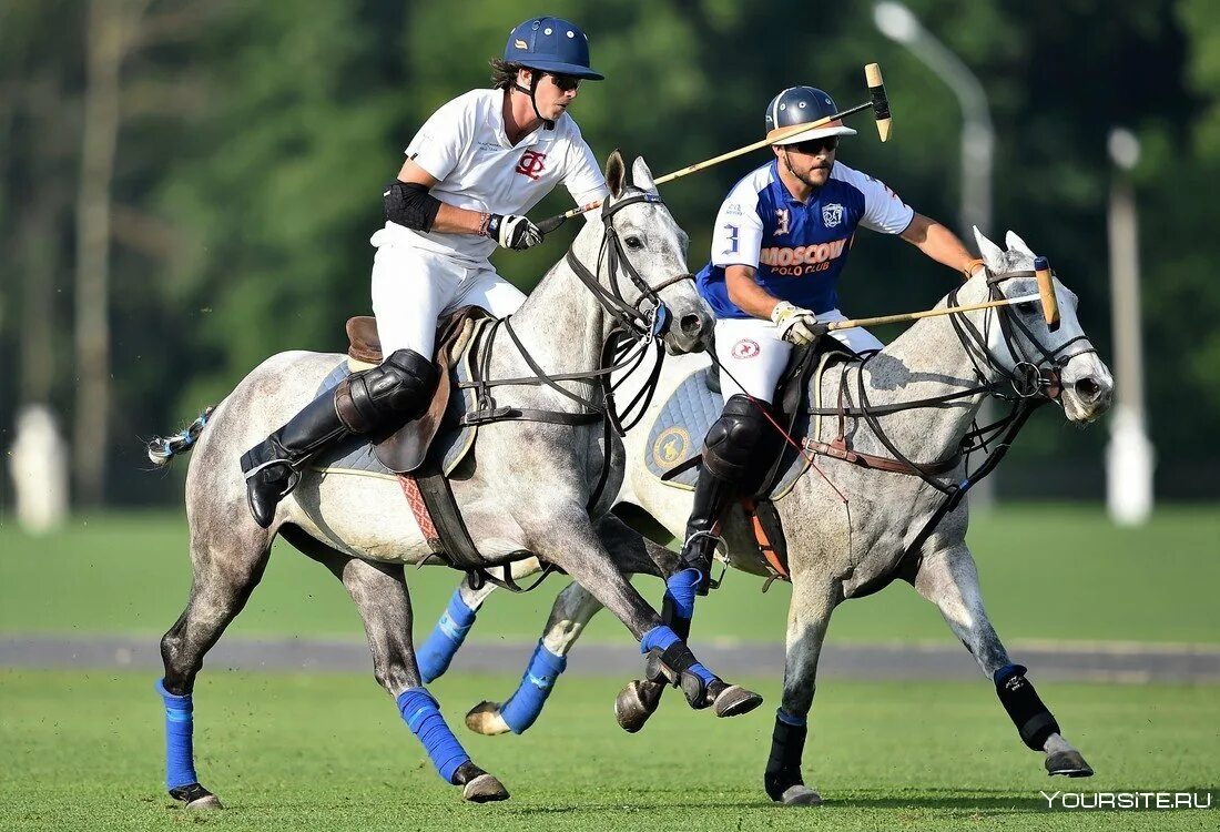 Polo club sport