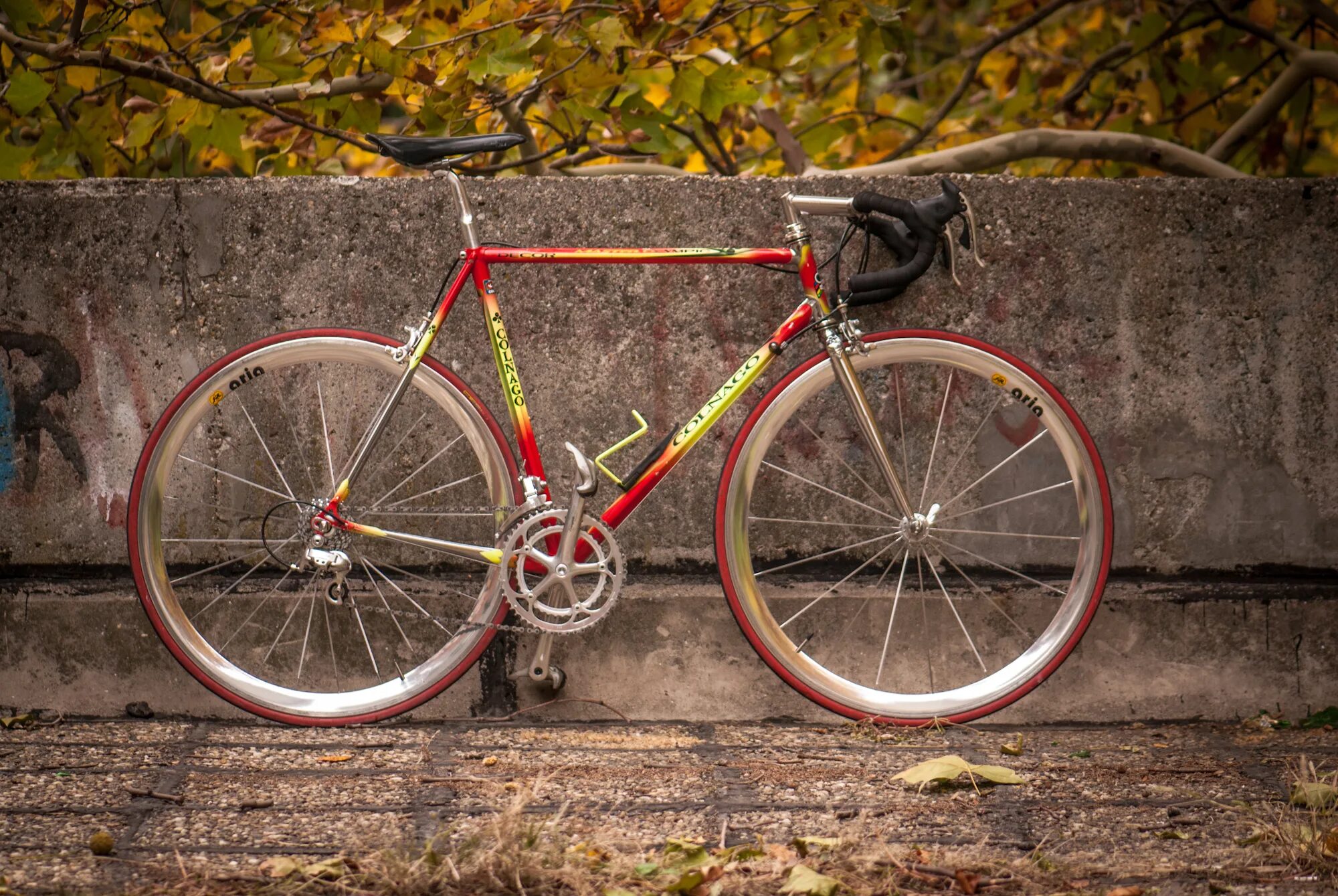 Colnago Master Olympic. Итальянский велосипед Colnago. Colnago 1950. Colnago ретро.