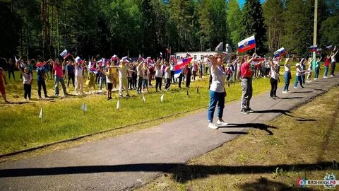 Сосновый бор лагерь 2024