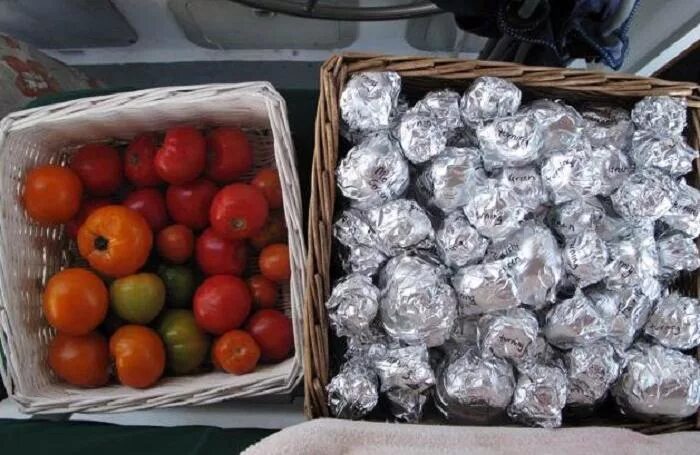 Как хранить помидоры в домашних условиях. Помидоры в ящике. Хранение томатов. Хранение помидоров в домашних. Хранить помидоры.