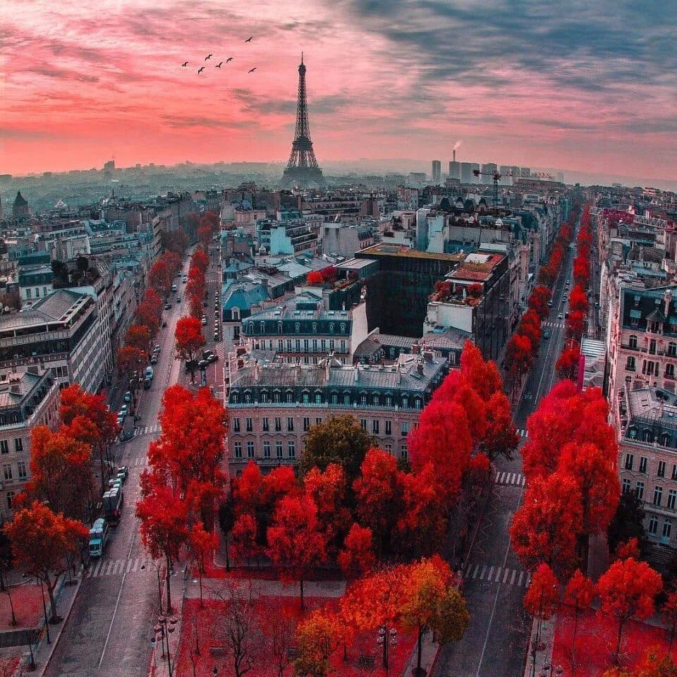 Париж столица Франции. Красный город. Осень в Париже. Париж осенью.