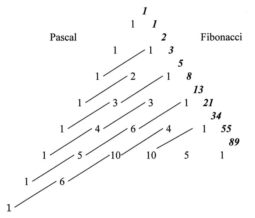 Фибоначчи паскаль. Числа Фибоначчи. Дерево Фибоначчи. Треугольник Паскаля и числа Фибоначчи.