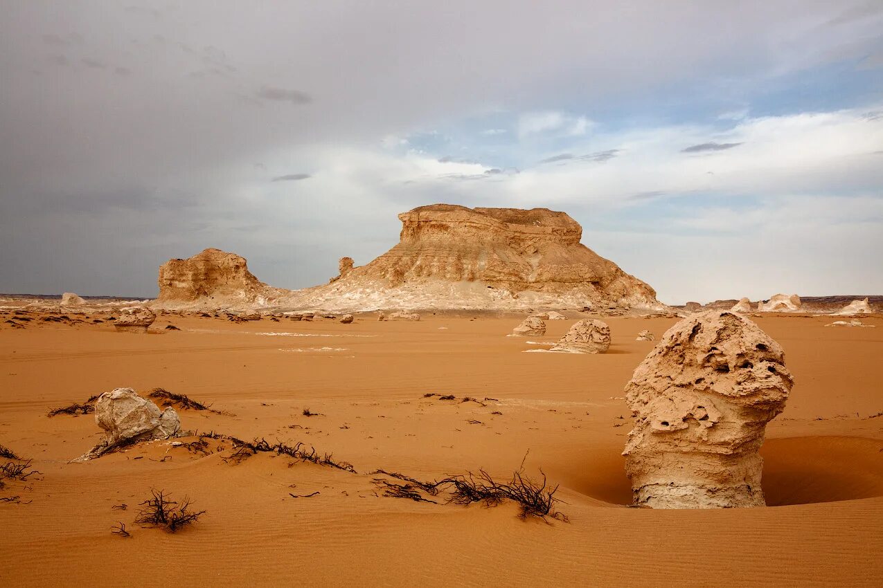Какая природа египта. Египет Пески пирамиды Оазис. Каменистая пустыня Египет. Египет пустыня сахара. Белая пустыня Египет.