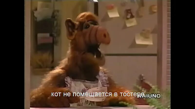 Альф 1 11. Альф и тостер. альф собака.