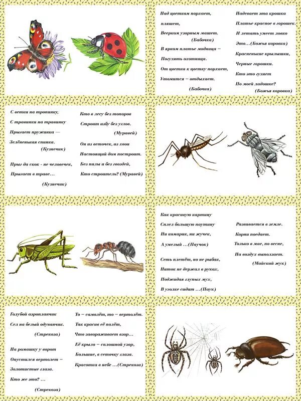 Календарное по теме насекомые. Загадки про насекомых для детей 4-5. Насекомые лексическая тема для дошкольников. Чистоговорки про насекомых для детей 3-4 лет. Картотека загадок про насекомых для дошкольников.