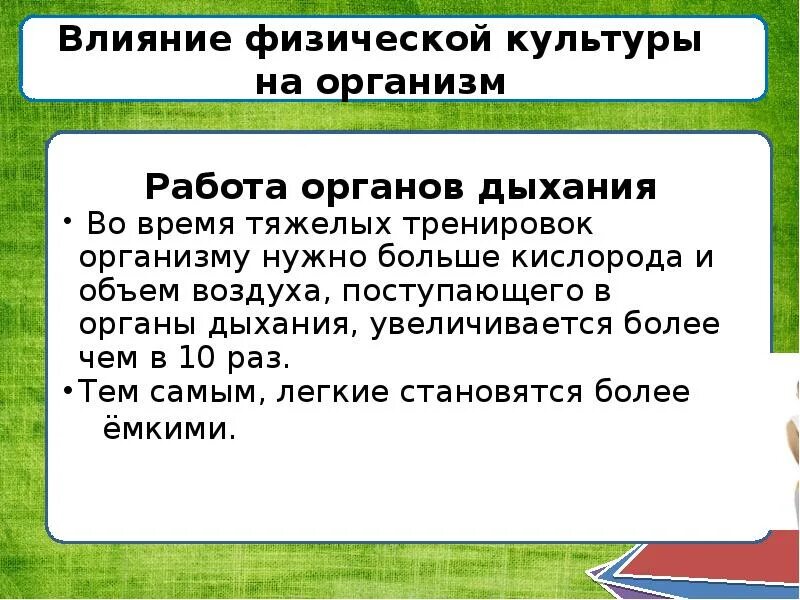 Влияние физических упражнений на функциональную систему: найдено 90 картинок