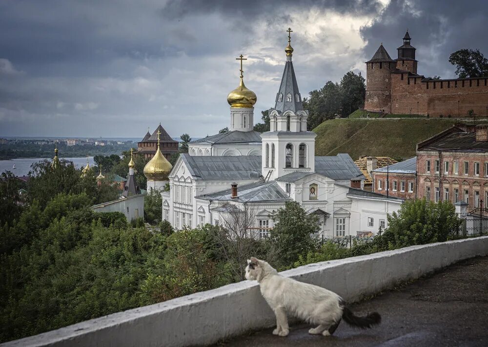 Вакансии дня в нижний новгород. Фотогорький Нижний Новгород. Нижний Новгород достопримечательности. Самые красивые места Нижнего Новгорода. Город Нижний Новгород в отражении.