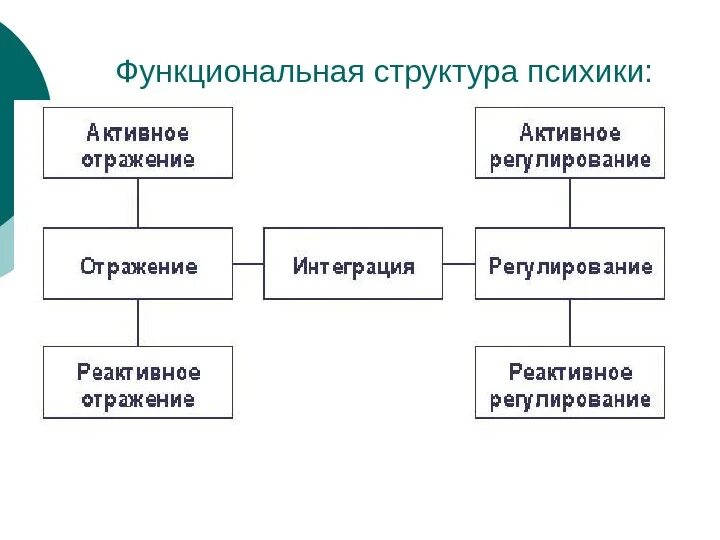 Психика человека структура функции. Функциональная структура психики ганзен. структура психики схема. структура психики человека таблица. составляющие структуры психики.