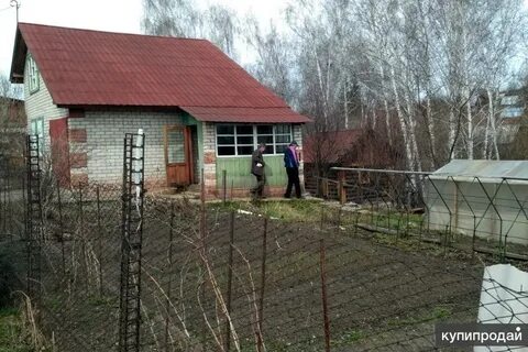 Барнаул огороде
