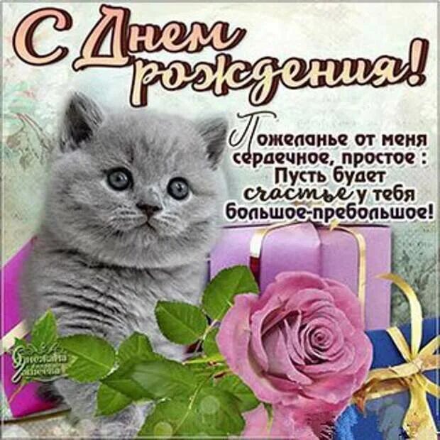 Поздравления с днем рождения женщине кошке. С днем рождения кошки. Поздравления с днем рождения женщине кошке. Милая открытка с днем рождения. Поздравление с днем рождения с котом.