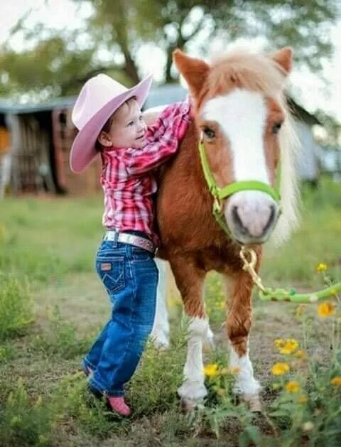 Horse kids. Лошадка для детей. Мини лошади с детьми. Милые фоточки лошадей. Самых милых младенцев лошадей.