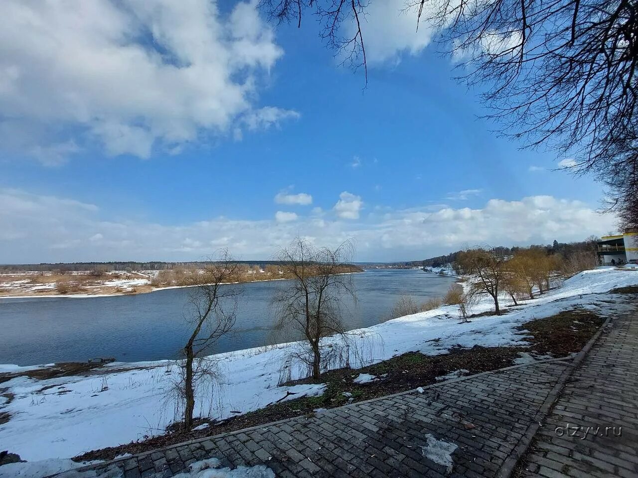 Прогноз тарусе