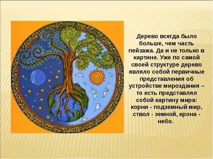 Описание дерева жизни