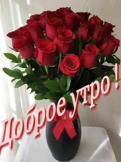 Картинки с добрым утром букетами роз