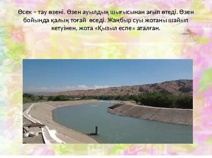 Дубайдағы өзбек әйелдері порно секс