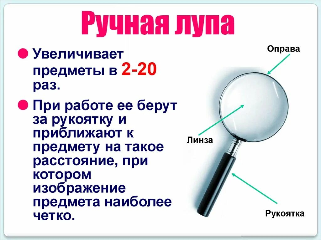 Какое увеличение дает ручная лупа. Ручная и штативная лупа основные части и их Назначение. Строение ручной и штативной лупы. Прибор лупа, части и Назначение. Лупа из чего состоит 5 класс.