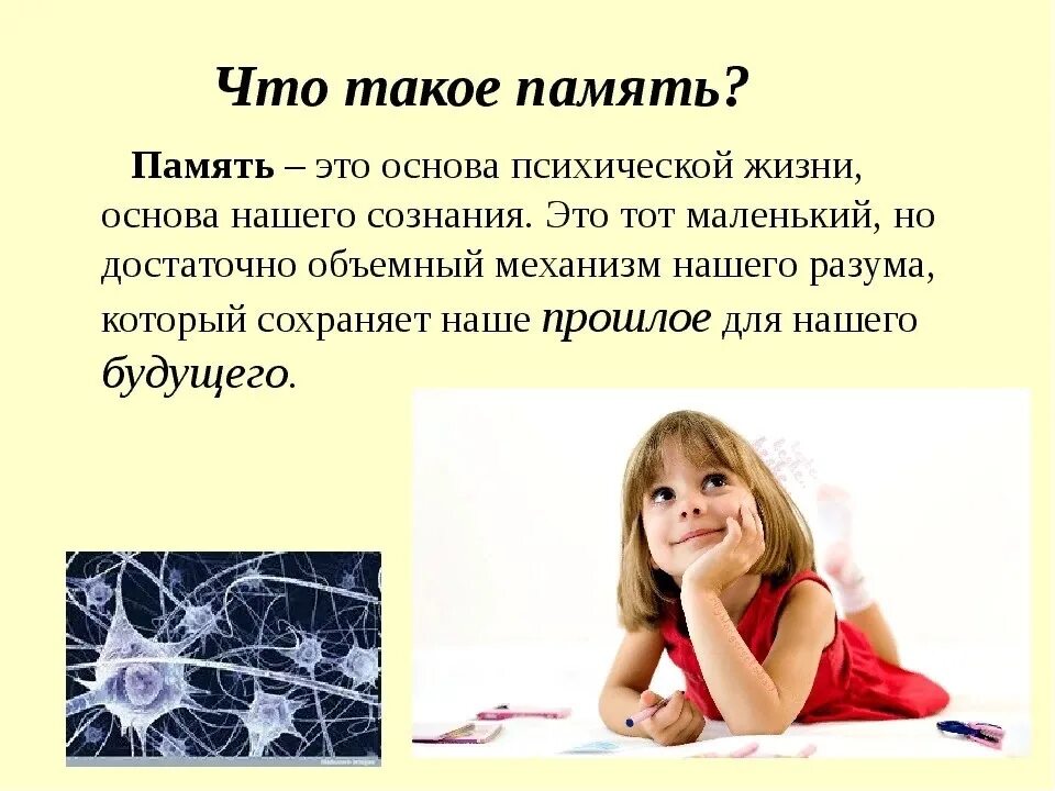 Сочинение на тему память сильнее времени 9 класс. Рысс-березарк. Примеры исторической памяти. Степнова памяти памяти. Память моя память расскажи.