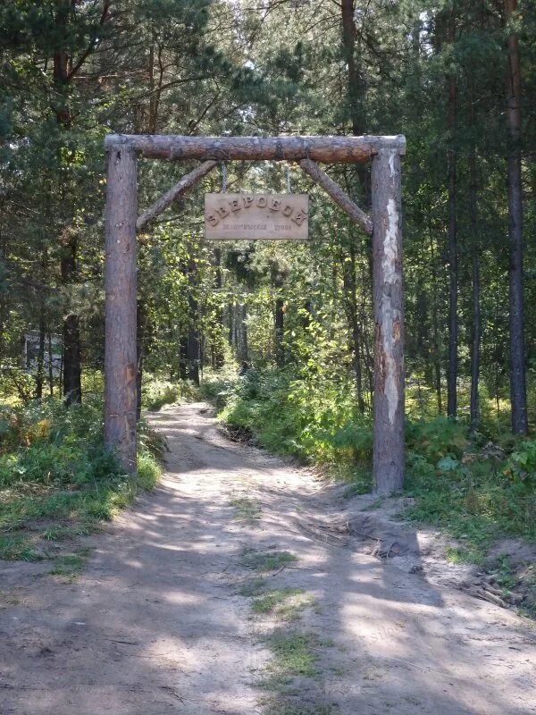 Экотропа зверобой новосибирск. Экологическая тропа зверобой бердские скалы. Экологическая тропа зверобой новосибирск. Экотропа зверобой. Экологическая тропа зверобой новосибирск.