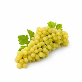 Виноград киш