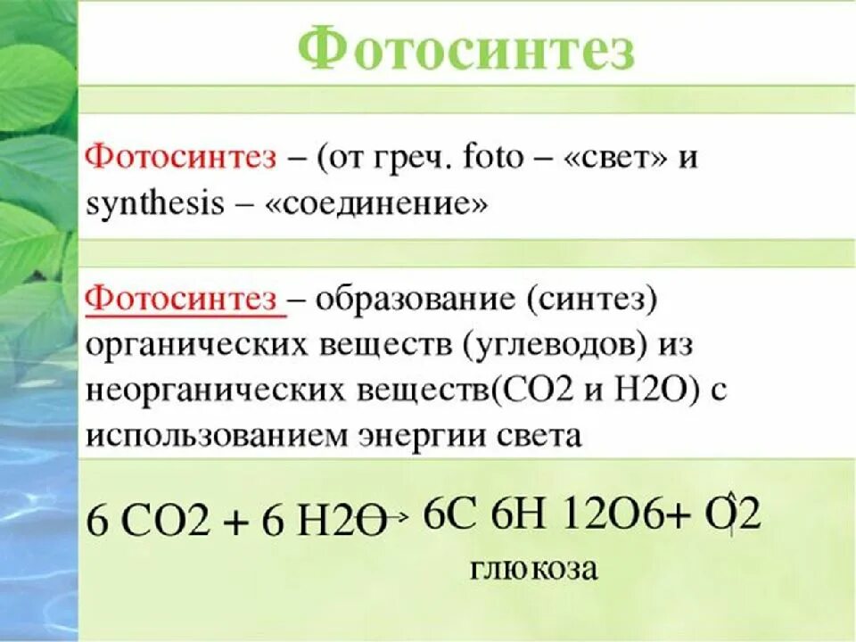 Co2 h2o фотосинтез. Со2 фотосинтез реакция. Общая формула фотосинтеза. Суммарная формула фотосинтеза. Суммарная реакция фотосинтеза формула.