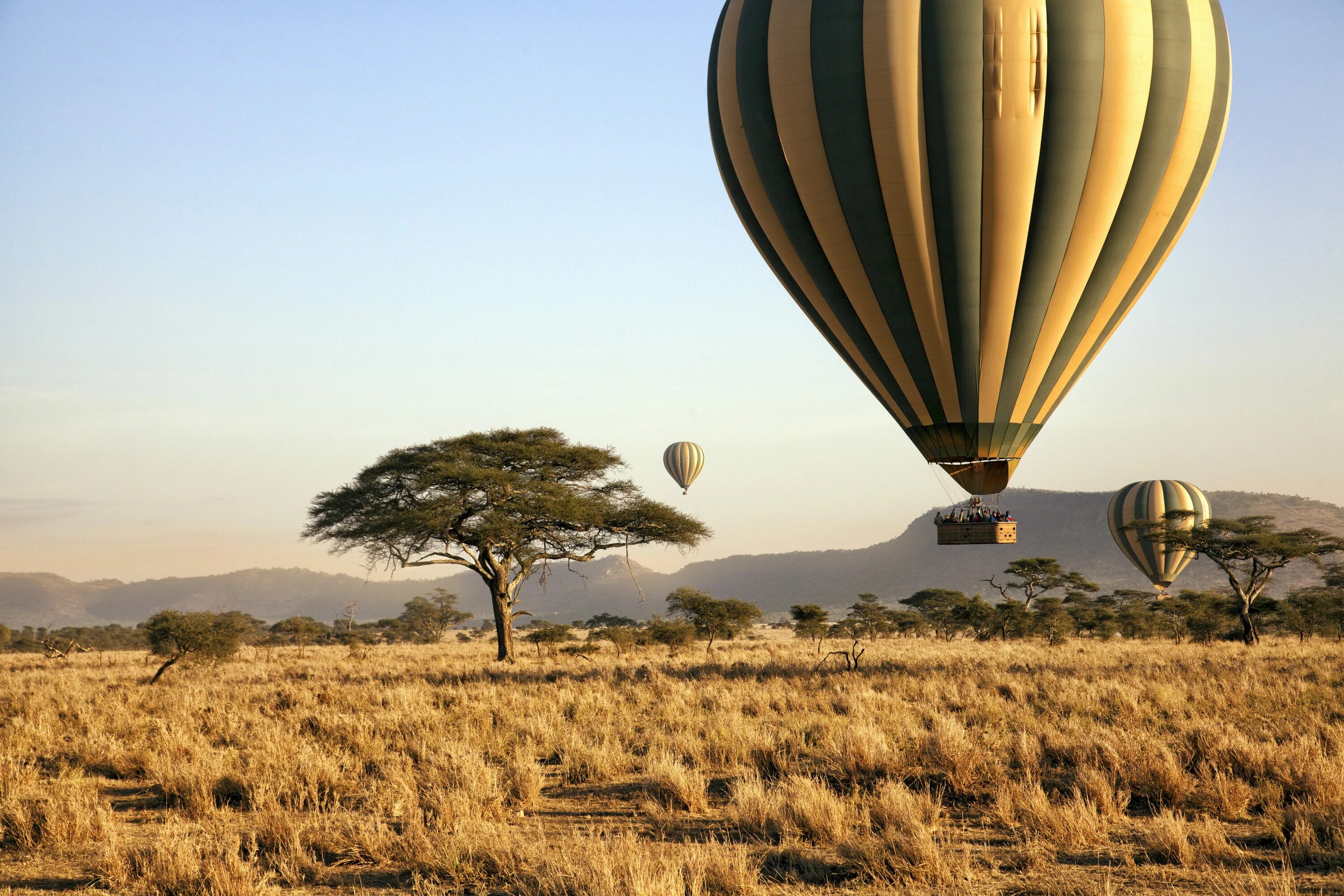 Особенности страны танзания. Танзания национальный парк Серенгети полет на воздушном шаре. Танзания сафари. Серенгети сафари.