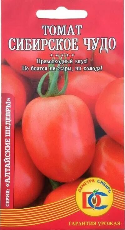 Помидор сибирское чудо картинку. Сорт помидор сибирское чудо. Семена томат сибирское чудо. Помидоры сибирское чудо описание отзывы. Томат чудо сибири.