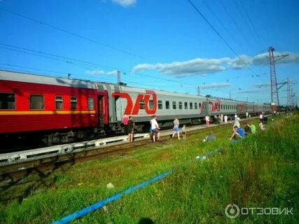 Поезд 145 санкт петербург