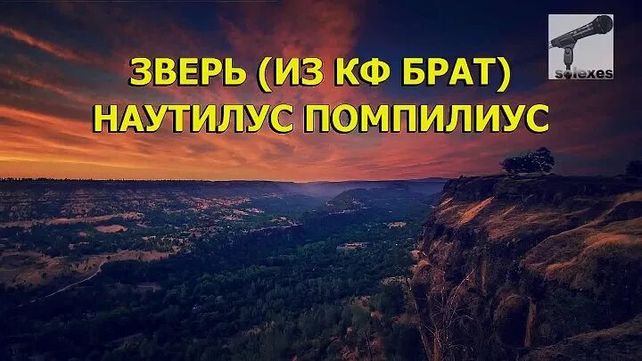 Наутилус Помпилиус зверь. Наутилус Помпилиус караоке. Наутилус караоке брат. Брат зверь.