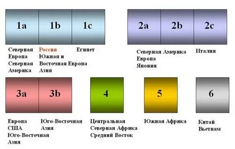 Генотип 1 типа