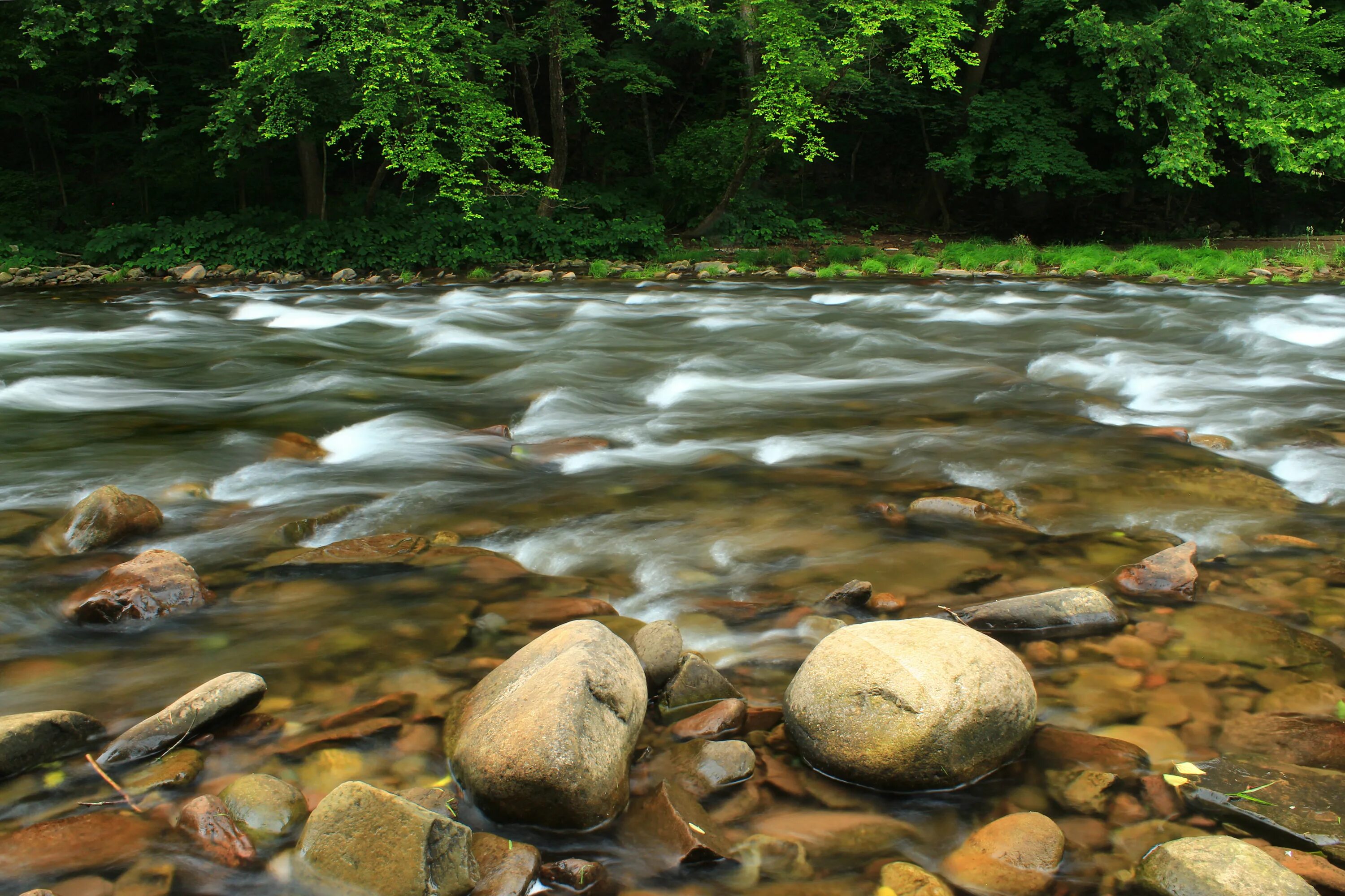 Stone river. Камни валуны берег река ручей. Чангинола река камни. Речка камни. Камни в реке.