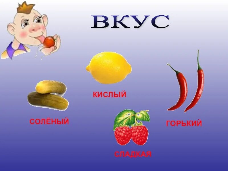 Картинка кисло. Кислый сладкий Горький соленый. Кислое сладкое горькое соленое. Горький вкус. Вкусы кислый сладкий соленый Горький.