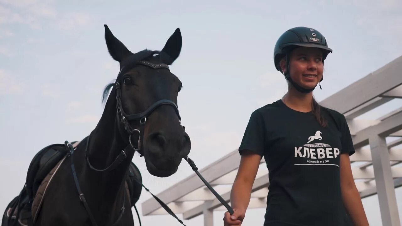 Кск белая лошадь магнитогорск. Лошади магнитогорском. Кск белая лошадь магнитогорск. Конюшня магнитогорск. Кск белая лошадь екатеринбург.