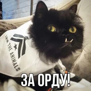 Уот перевод