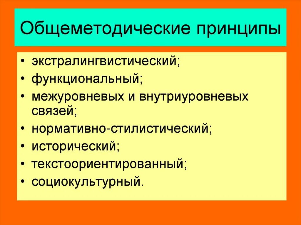 Методическими принципами являются. Общеметодические принципы. Общеметодические принципы обучения русскому языку. Общеметодические принципы преподавания русского языка это. Общеметодические принципы обучения.