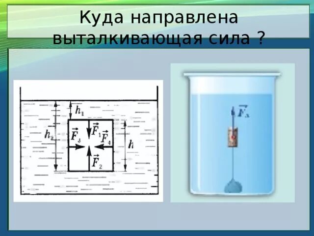 Чем отличается сила от выталкивающей силы. Куда направлена Выталкивающая сила. Куда направлена сила выт. Направление выталкивающей силы. Выталкивающая сила направлена.