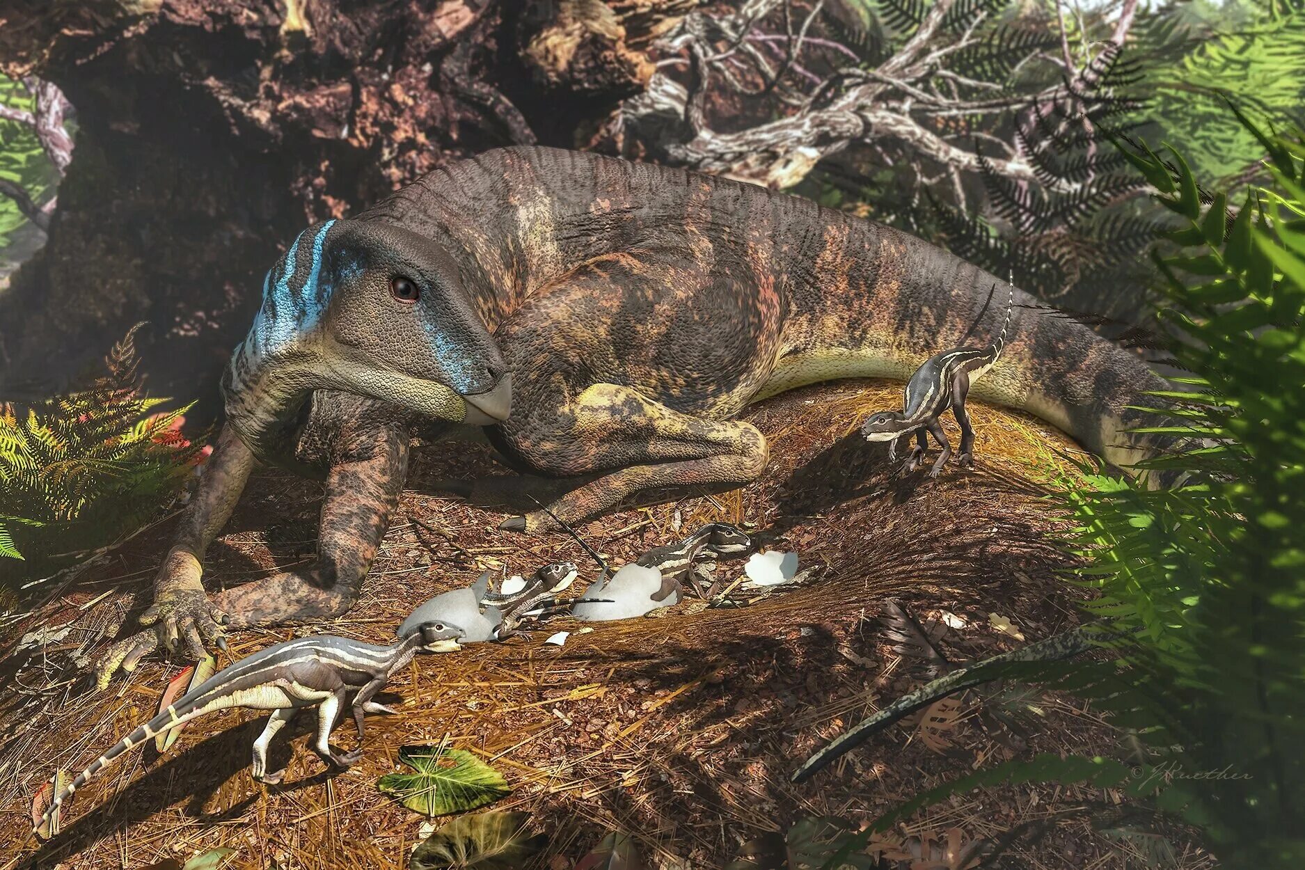 Время рептилий. Рептилия динозавр. Живые динозавры. Динозавры которые живут сейчас. До динозавров.