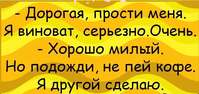 Медведица обнимает медвежонка. Котик на подоконнике. Прости дорогая анекдот. Хатико надпись. Демотиваторы про индию.