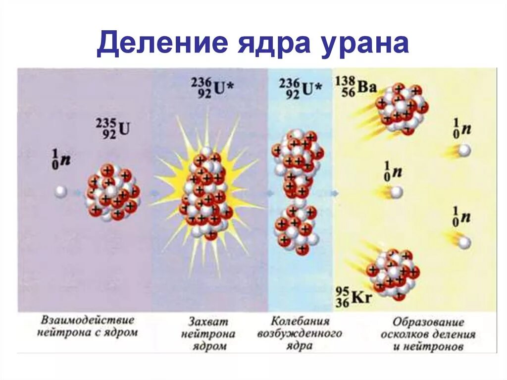 Химическая реакция урана. Цепная реакция деления ядер урана. Цепная ядерная реакция деления ядра урана схема. Цепная ядерная реакция урана 235. Ядерные реакции деление ядер урана.