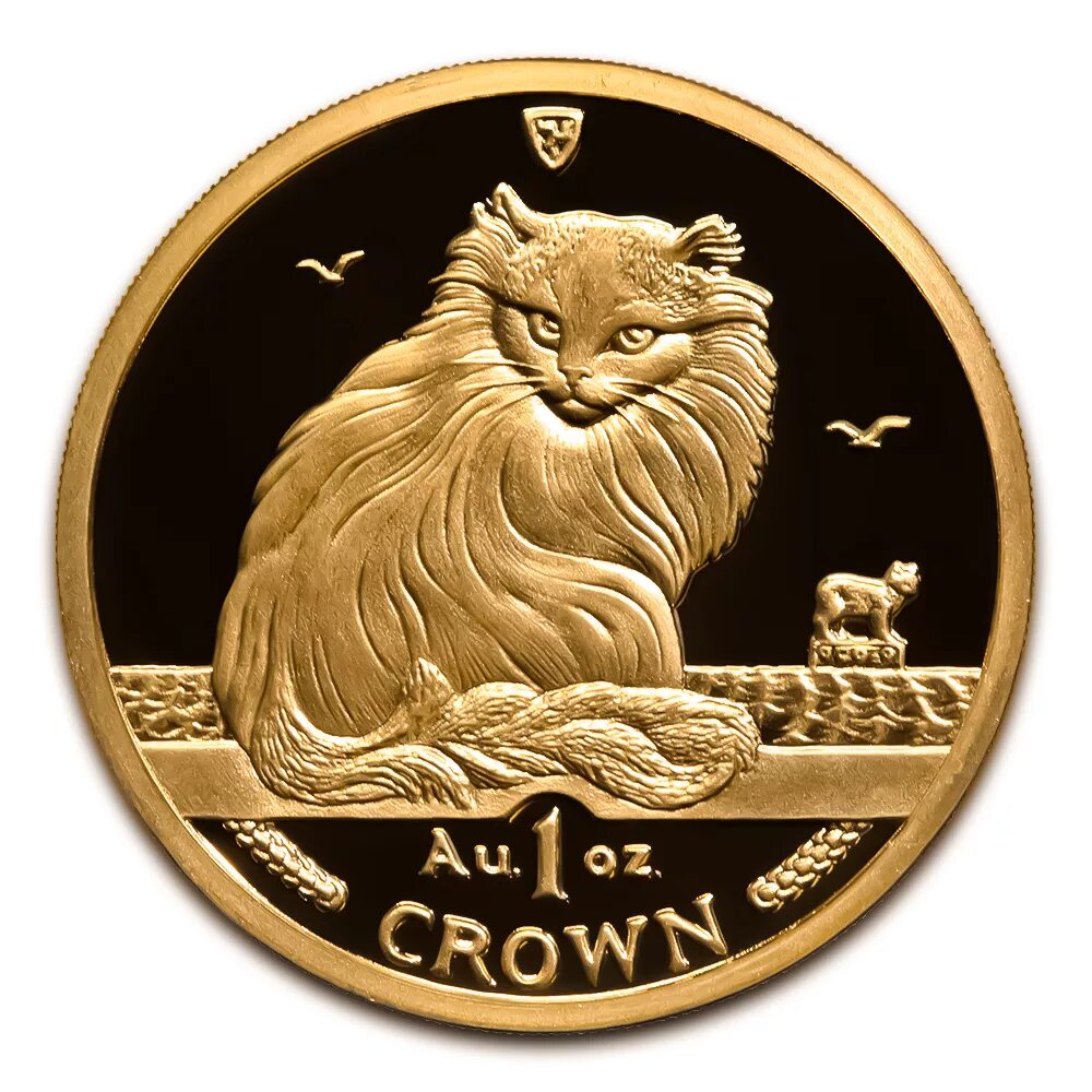 Cat coin