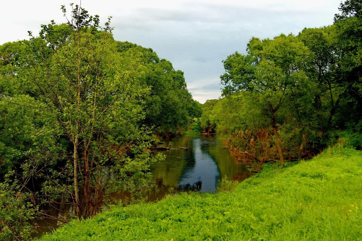 река лужа калужская область малоярославецкий район. река лужа. река лужа калужская область. река лужа калужская область. река лужа калужская область малоярославецкий.