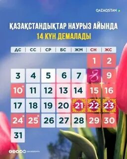 Жылқы сиқы туралы бейнелер