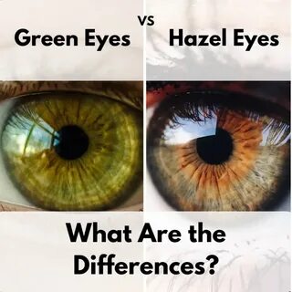 Eyes are перевод