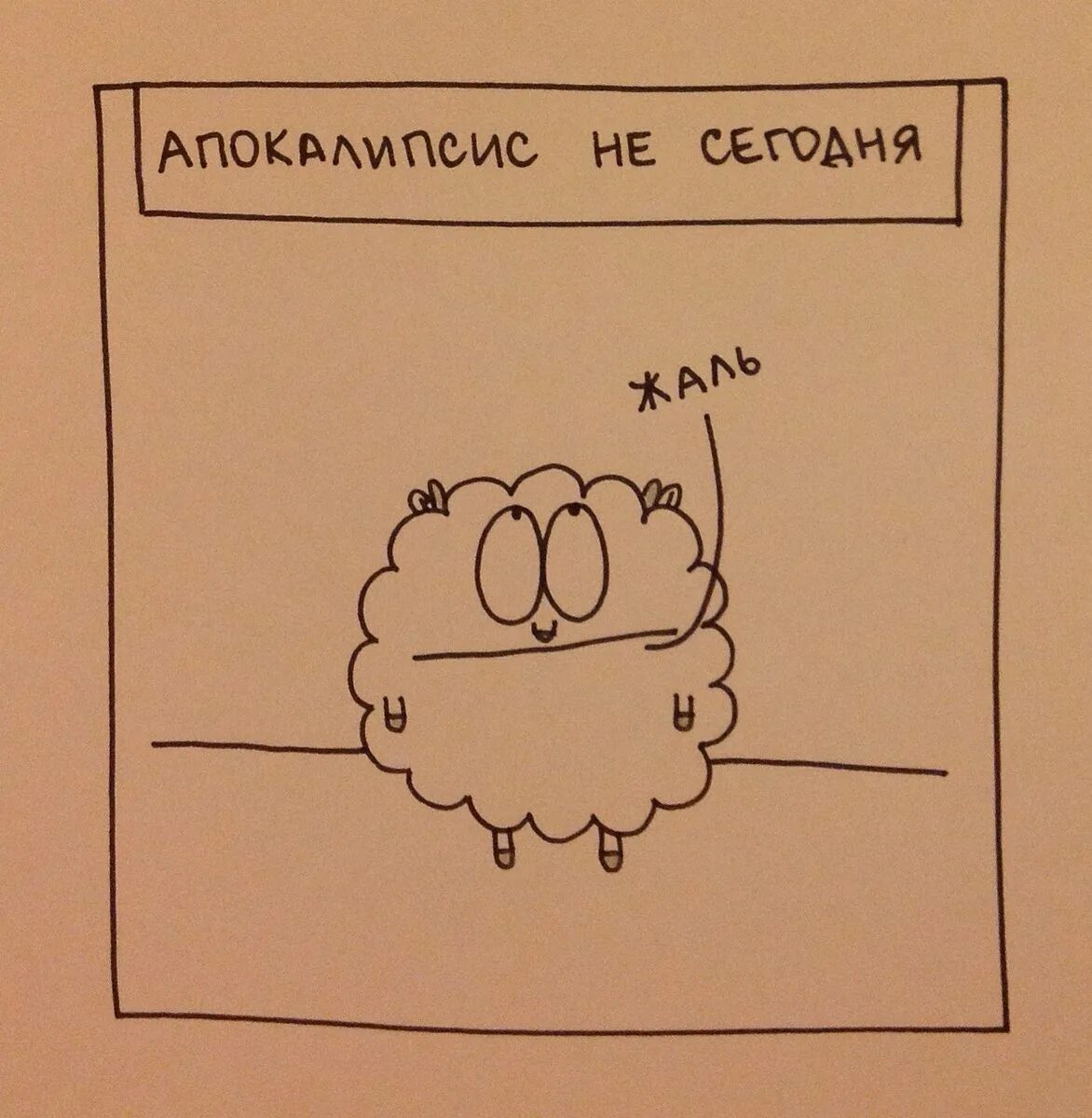 Моя проблема в том что я. Овца мизантроп. Шутки про мизантропов. Овца-мизантроп картинки. Мое настроение сейчас.