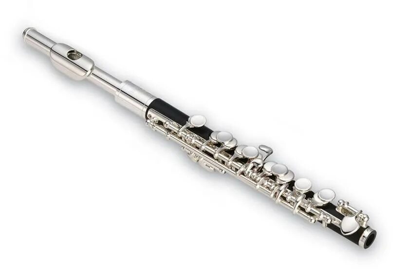 Флейта хорошая. Пикколо музыкальный инструмент. Флейта Пикколо в оркестре. Флейла. Флейта муз инструмент.