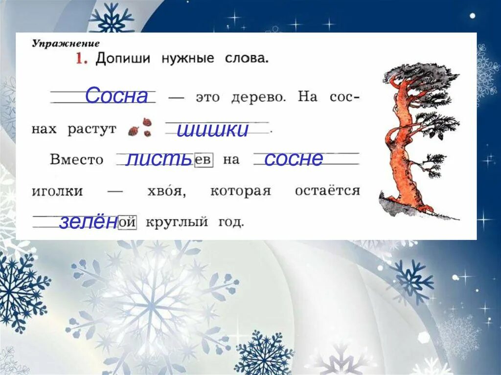 Сосна новое слово. Допиши нужные слова. Допиши нужные слова это дерево. Допиши нужные слова сосна это. Допиши нужные слова сосна это дерево.