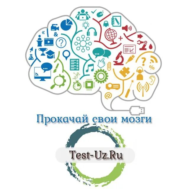 Info test uz. Тест uz. Testing uz uz. U Test uz. Stesting.uz/uz.