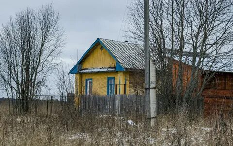 Деревня пузо