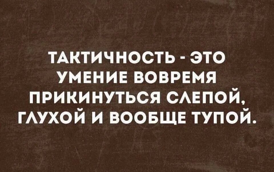 Слепая дура. Тактичность афоризмы. Фраза про тактичность. Чувство такта цитаты. Афоризмы про чувство такта.